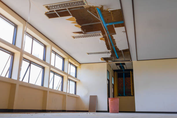 Best Local water damage restoration  in Midway South, TX