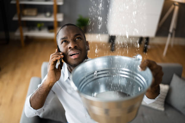 Best Professional water damage repair  in Midway South, TX
