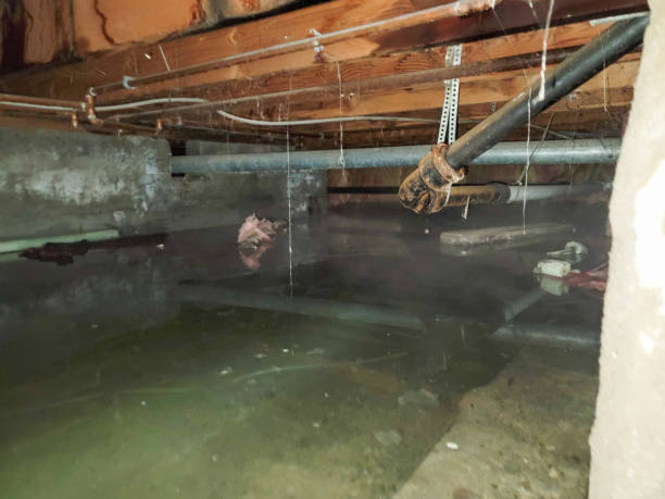 Best Residential water damage restoration  in Midway South, TX