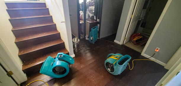 Best Water damage restoration experts  in Midway South, TX