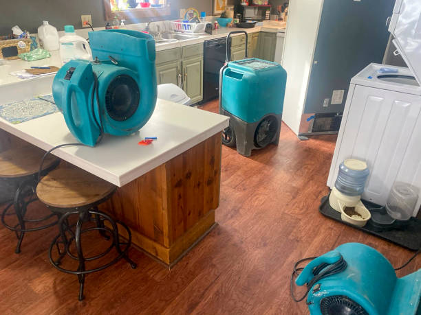 Best Emergency water damage restoration  in Midway South, TX