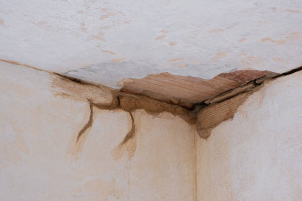 Best Flood restoration services  in Midway South, TX