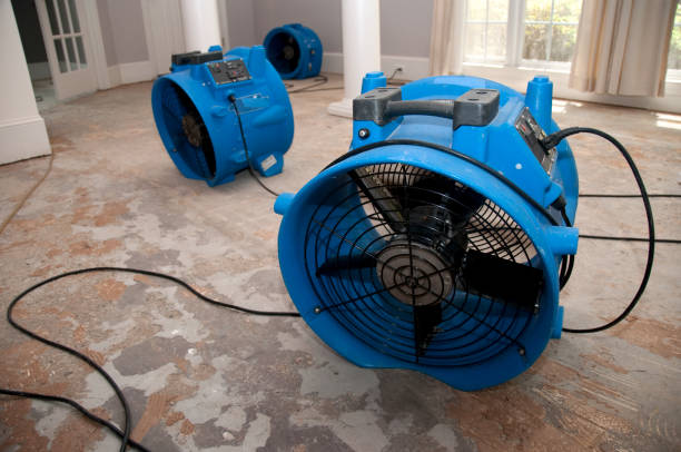 Best Basement water damage restoration  in Midway South, TX