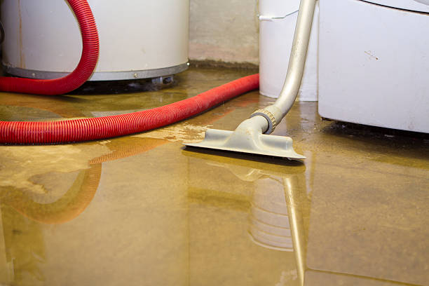 Best Flooded house restoration  in Midway South, TX