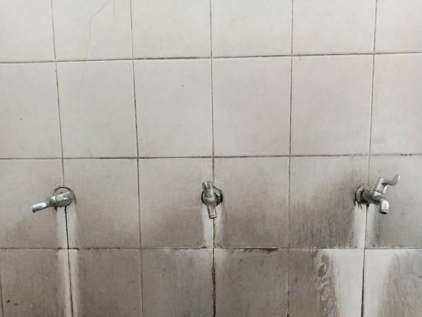Best Emergency water damage restoration  in Midway South, TX