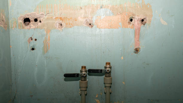Best Commercial water damage restoration  in Midway South, TX