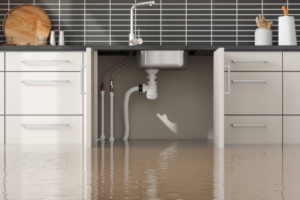 Best Flood damage cleanup  in Midway South, TX