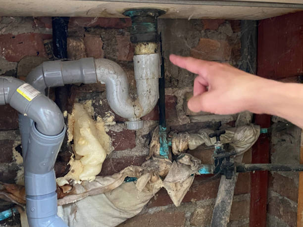 Best Water damage restoration near me  in Midway South, TX