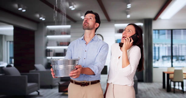 Best 24-hour water damage restoration  in Midway South, TX
