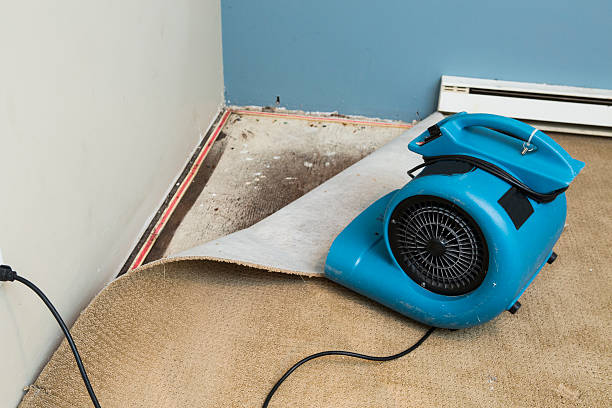 Best Fire Damage Restoration  in Midway South, TX